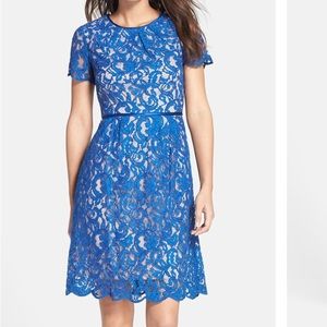 Adrianna Papell Lace Cocktail Dress